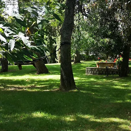 Il Rifugio - Cad101 By Interhome Holiday home Chiavelli